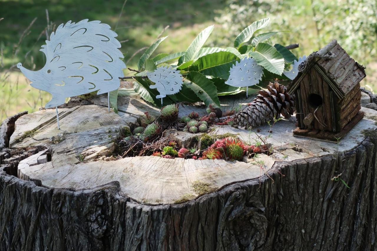 Casa Dodo Villa Castro Caldelas Dış mekan fotoğraf